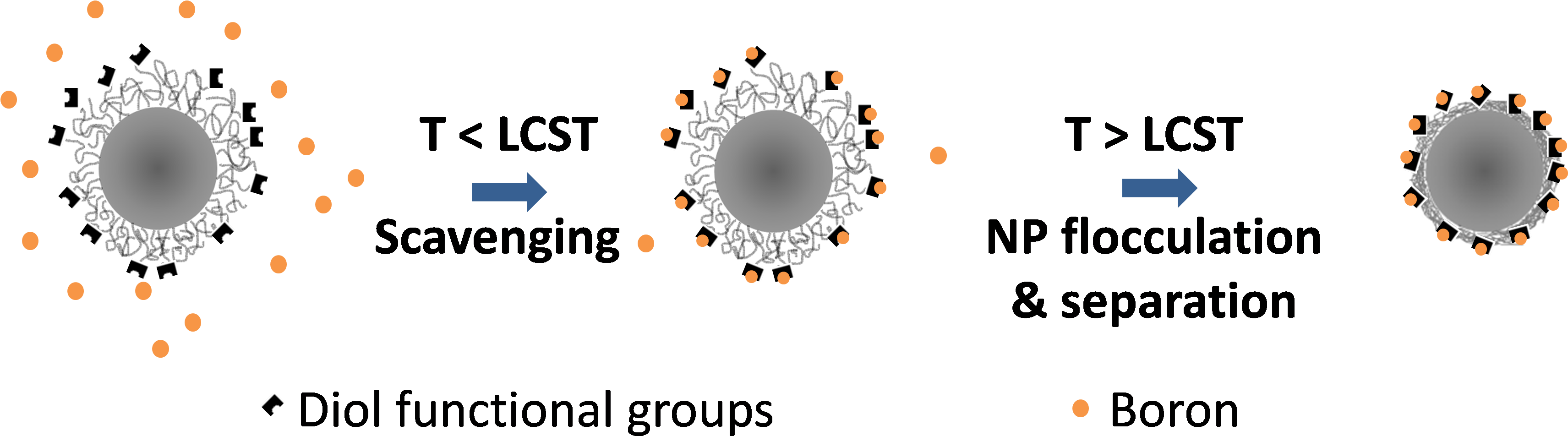 Boron Scavenging - Circle (3422x1032), Png Download