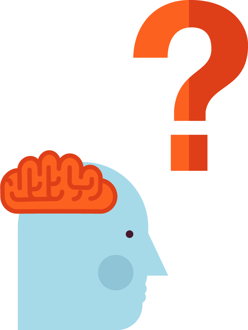 Brain Dude Question Mark - Brain Question Mark Png (800x1062), Png Download