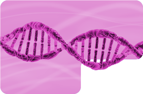 If A Person Has A Relative Who Is An Alcoholic, He - Pruebas Adn (499x333), Png Download