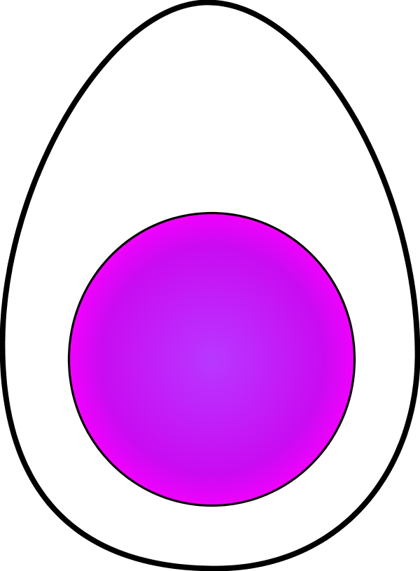 Fried Egg Clipart - Health Care Logistics - Thu 3/4in Circle Label Green (600x816), Png Download