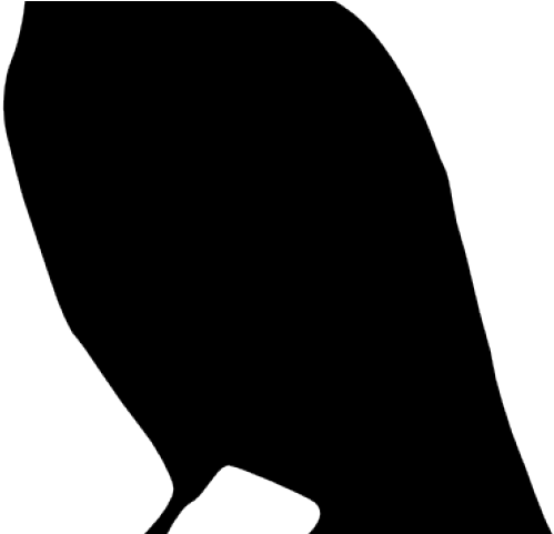 Crow Clipart Raven Silhouette - Clip Art (640x480), Png Download