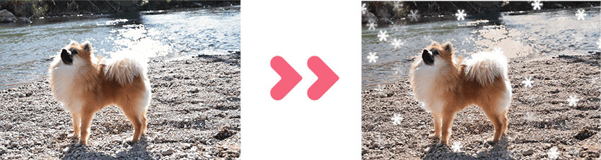 Programas Para Editar Fotos Gratis En Español - Photography (850x227), Png Download