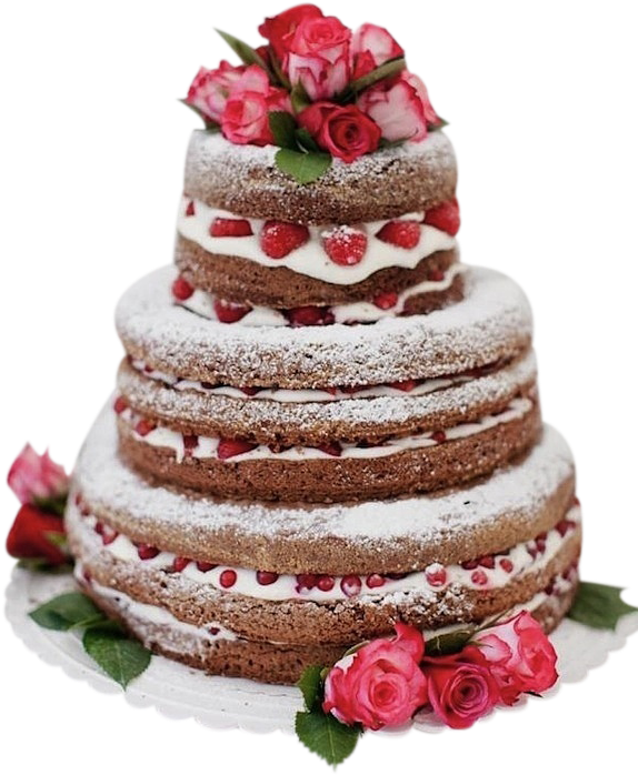 Happy Birthday Cake Png - Pastel De Chocolate Sin Cubierta (600x900), Png Download