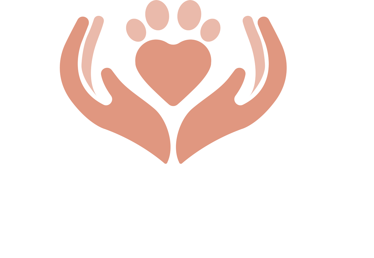 Download Hand And Paw Project PNG Image with No Background