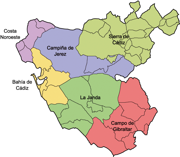 Political And Traditional Subdivisions - Provincia De Cádiz (600x550), Png Download