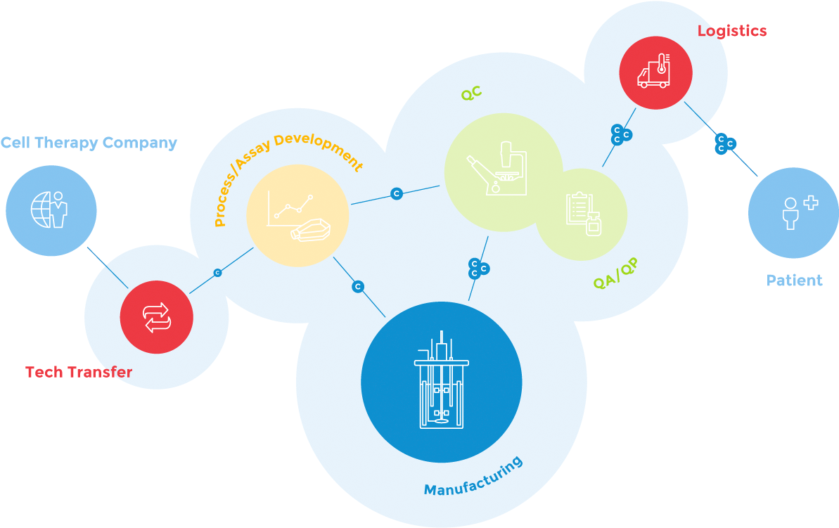 In Addition To Significant Expertise, Our Agile Gmp - Masthercell (1199x754), Png Download