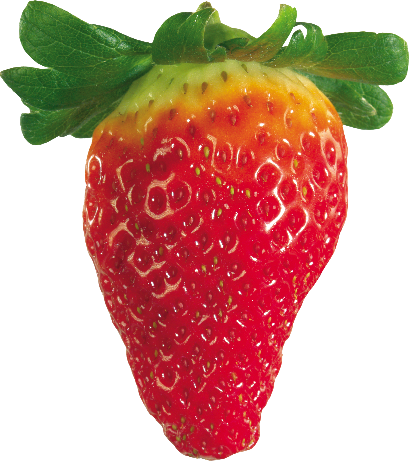 Download - Strawberry (1647x1854), Png Download