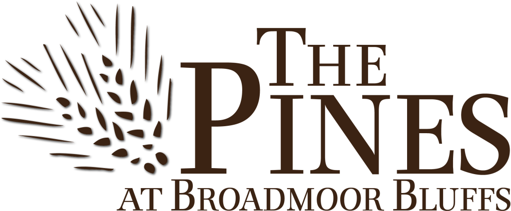 Pines Outlines - Blues Depression (1024x443), Png Download