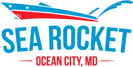 308 N 1st St Ocean City, Md - Ugly Christmas Sweater Party Invitations (500x275), Png Download