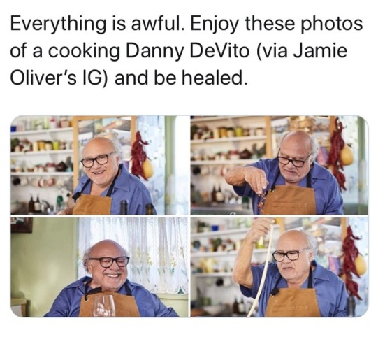 Danny Devito (540x597), Png Download