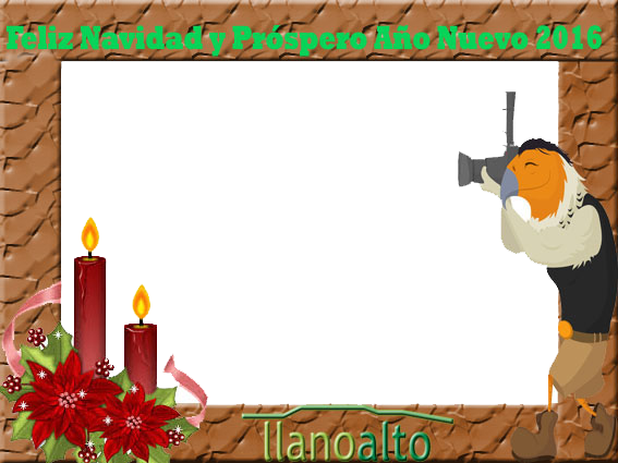 Set De Fotos Alto - Christmas Candles Round Ornament (567x425), Png Download