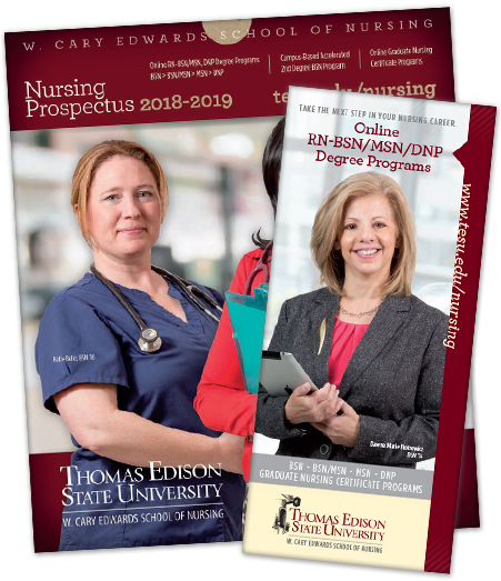 Rn To Bsn/msn Publications - Master Of Science In Nursing (450x550), Png Download