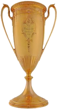 The Gold Cup - Gold Cup (320x399), Png Download