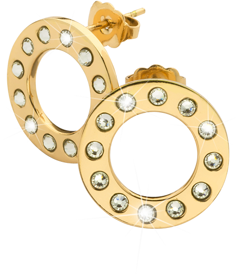 Nikki Lissoni Circle Sparkle Gold Plated Stud Earrings - Nikki Lissoni Gold-plated Earrings Of 16mm With Swarovski (600x600), Png Download