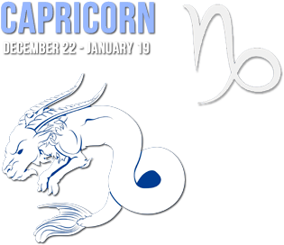 My Human Costume I'm A Capricorn H (350x350), Png Download