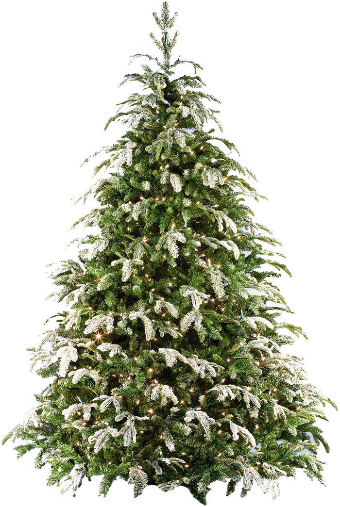 Xmas Tree Png 17 By Iamszissz - Arbol De Navidad Png (709x1128), Png Download