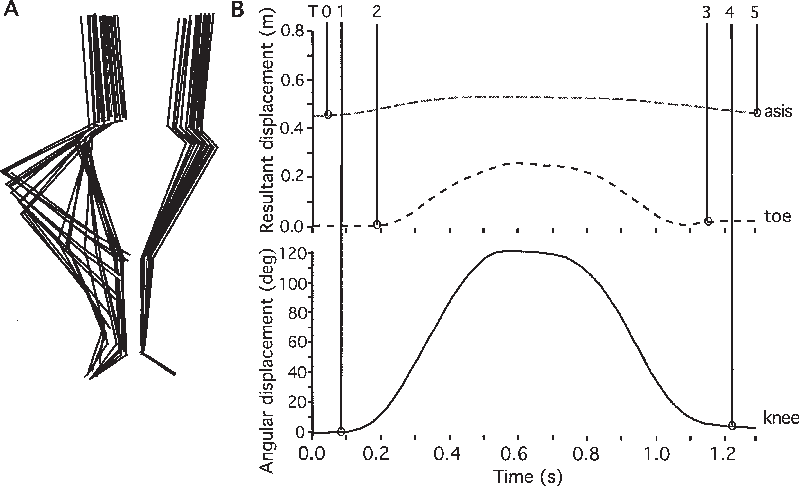 Stick Figure And Passé Movement Profile Of A Representative - Running (800x486), Png Download