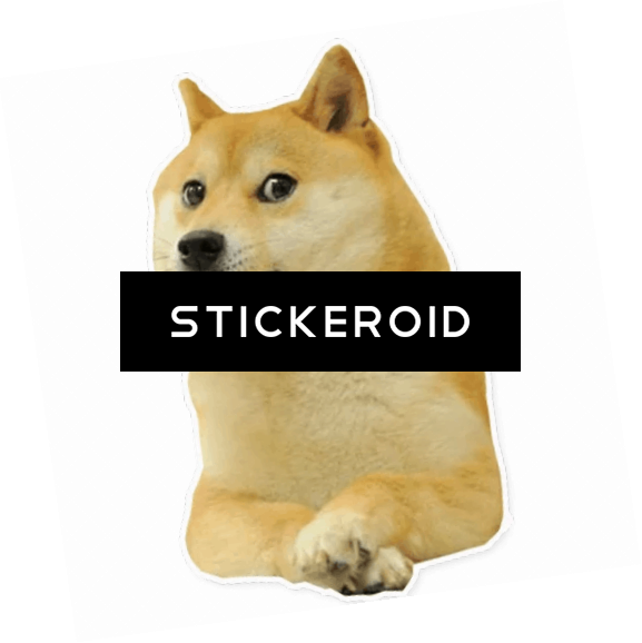 Додж Doge - Wow Such Doge! Wow Such Doge! Wow Such Doge! Sticker (577x578), Png Download