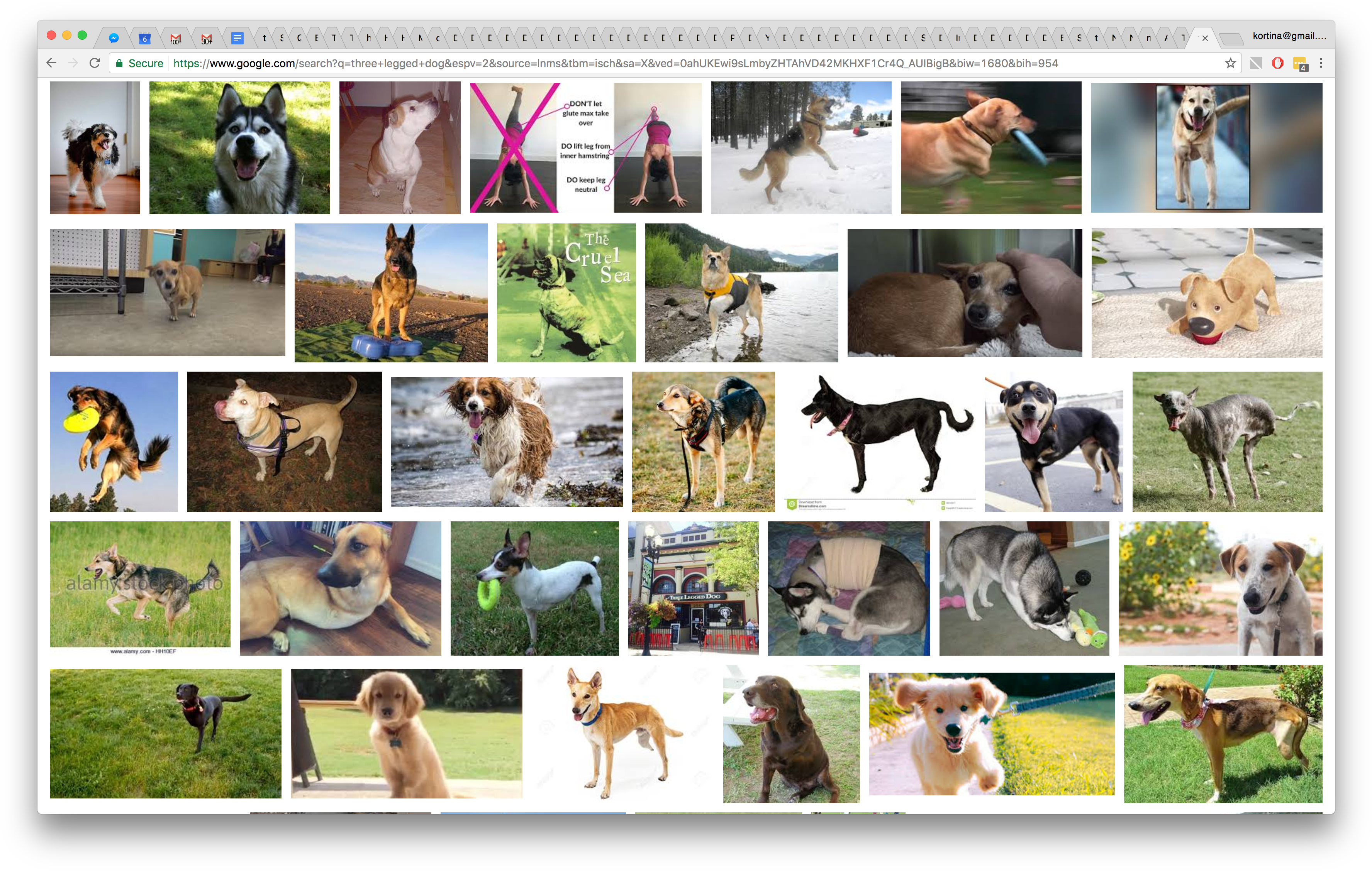 3-legged Doge - - Plus Laid Du Monde (3584x2280), Png Download