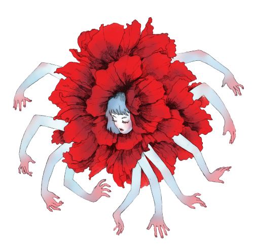 Flower Png Tumblr Flowers - Barberton Daisy (500x500), Png Download