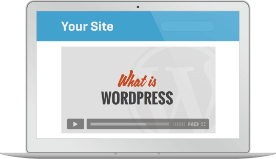 Embed Our Wordpress Tutorial Videos On Your Own Website - Utility Software (538x310), Png Download