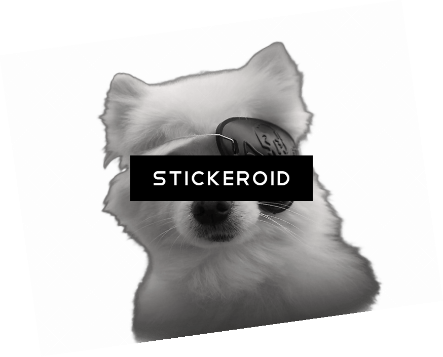 Gabe - Houston Problem (874x705), Png Download