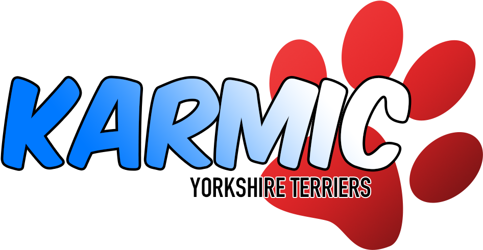 Gabriel - South Africa (1000x489), Png Download