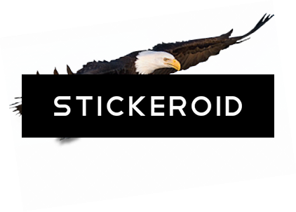 Flying Eagle Animals - Bald Eagle (422x302), Png Download