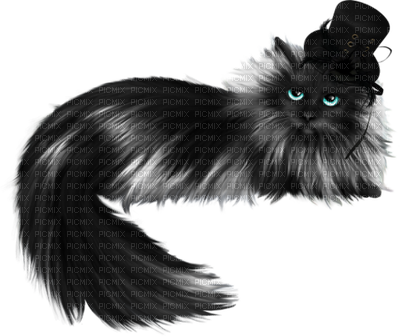 Cat In The Hat - Goth Subculture (400x336), Png Download