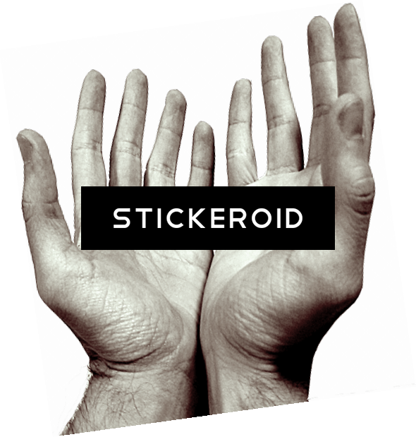 Hands Praying Open - Thumb (590x619), Png Download