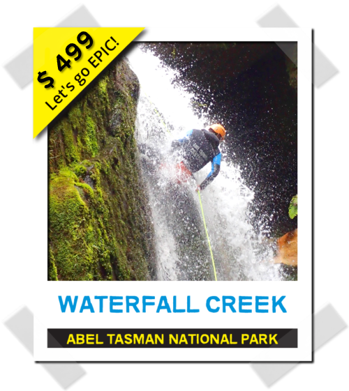 Abel Tasman National Park (500x561), Png Download