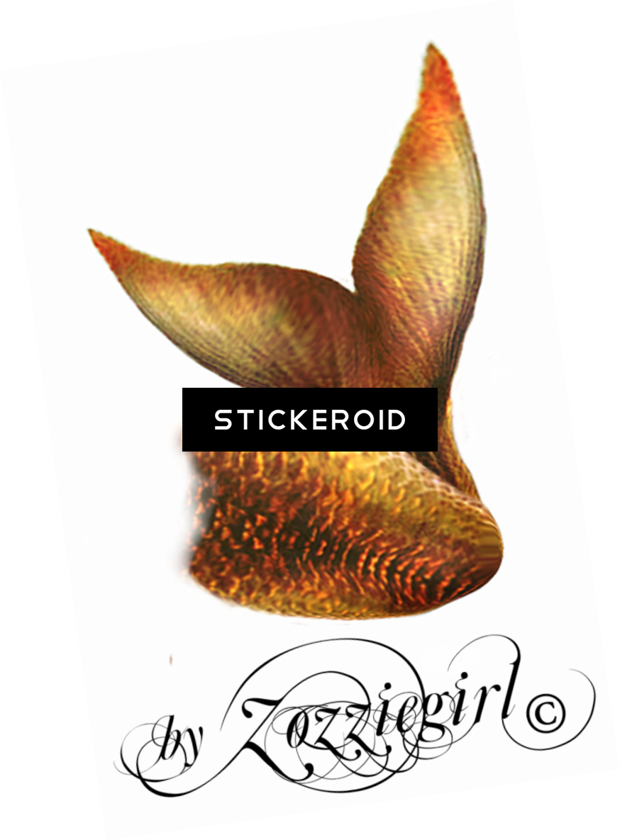 Mermaid Tail - Mermaid (874x1185), Png Download