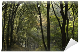 Go To Image - Grove (400x400), Png Download