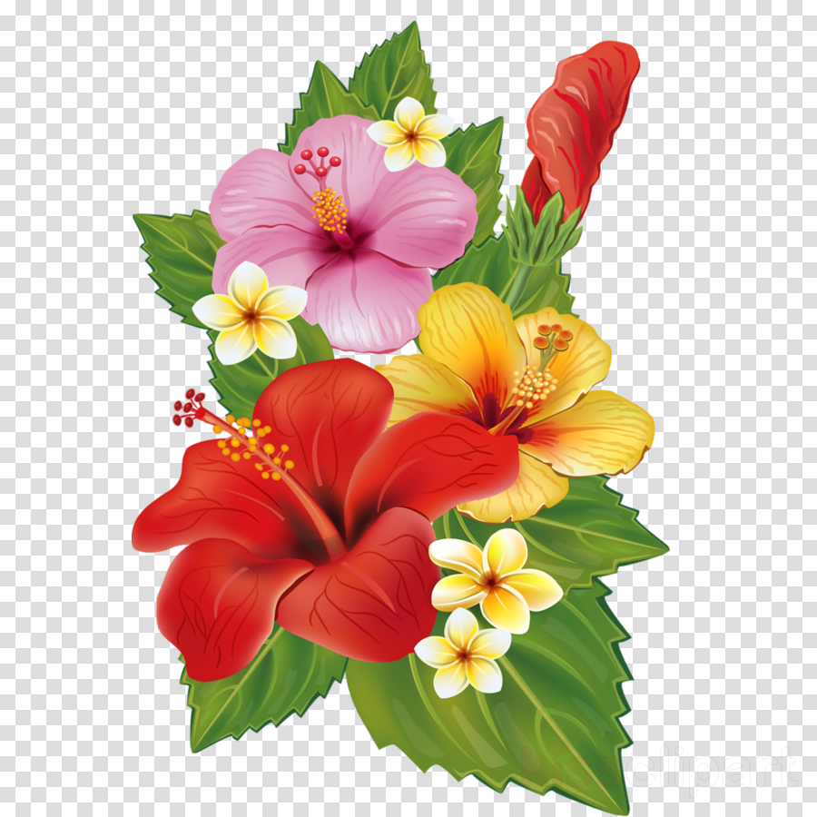 Download Tropical Flowers Border Png Clipart Clip Art - Clipart Of