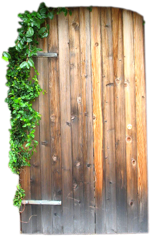 Little Door Png Pictures - Little Door Png (612x680), Png Download