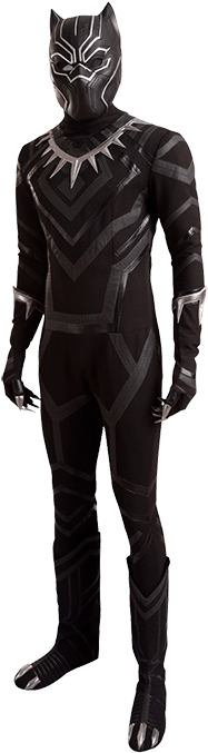 Black Panther - Black Panther Full Costume (414x700), Png Download
