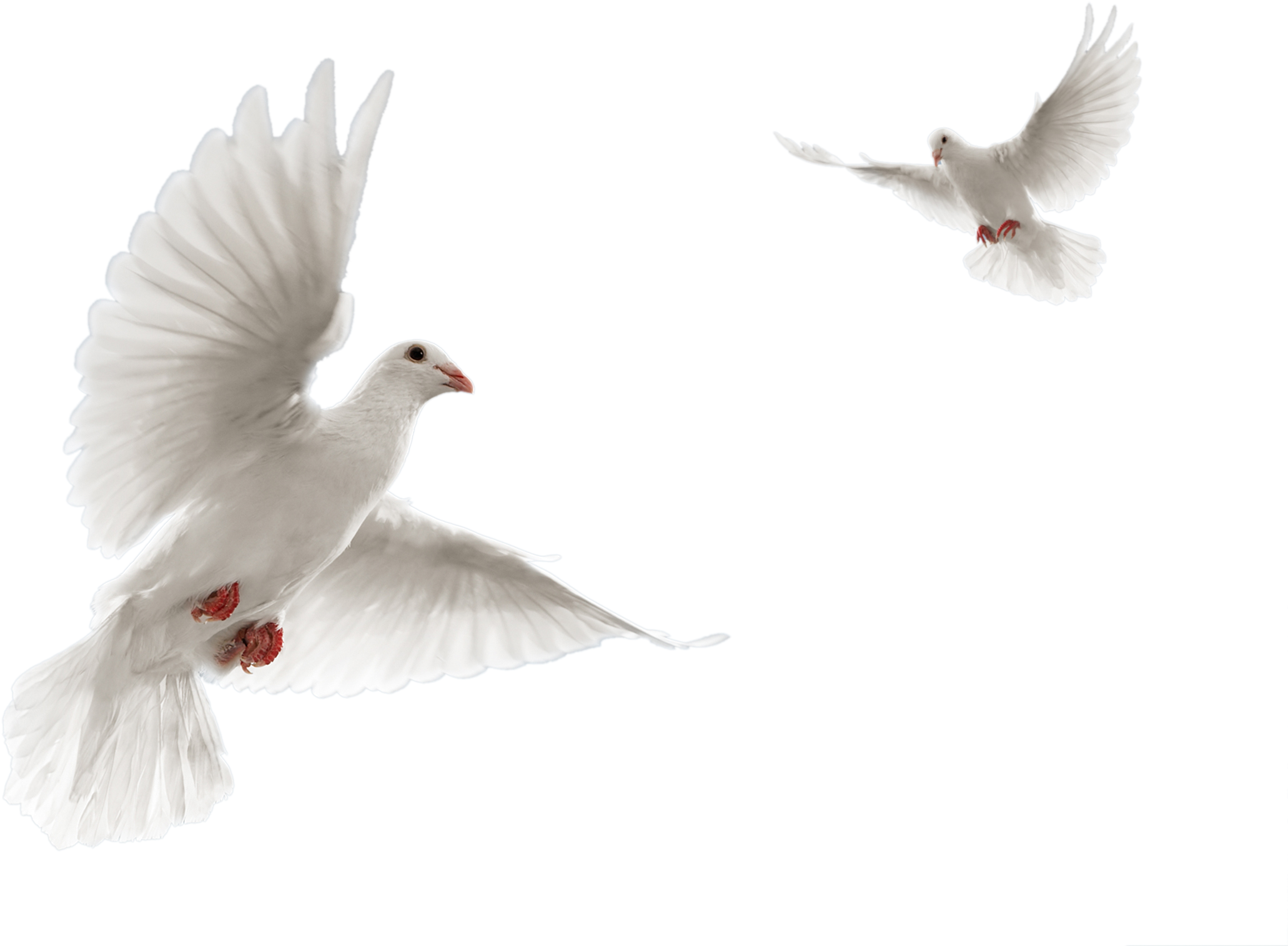 Tapash Edit Blogspot (2542x2888), Png Download