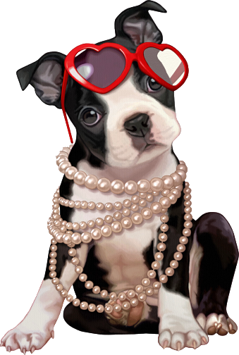 Pitbull - Boston Terrier Tote Bag (339x504), Png Download