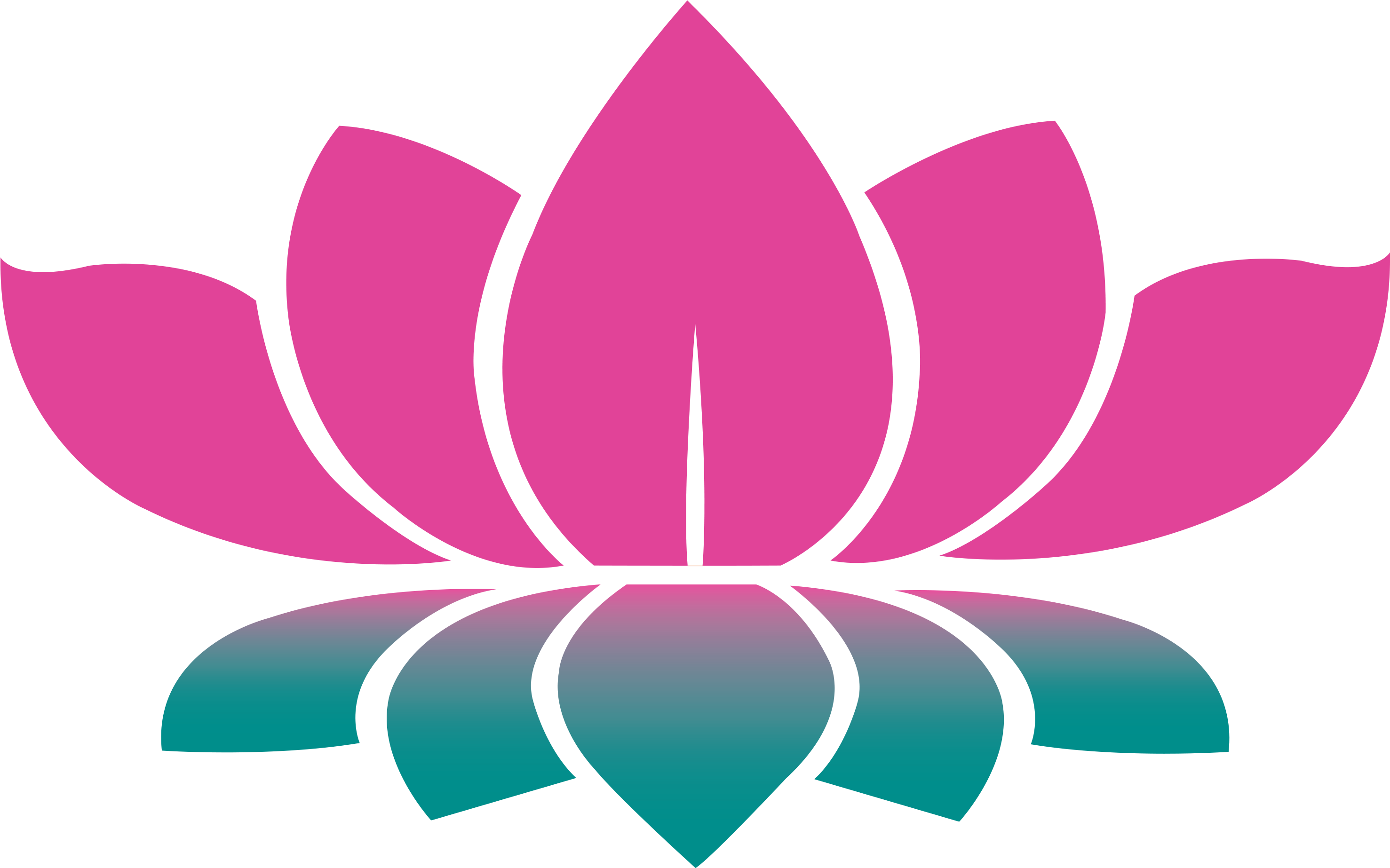Free Lotus Flower Png - Lotus Hd Png (3508x2480), Png Download