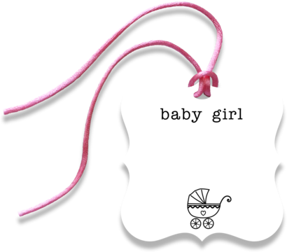Baby Girl Gift Tag - Gift (480x371), Png Download