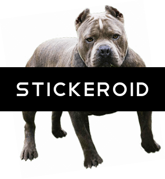 Pitbull - Pit Bull (336x365), Png Download