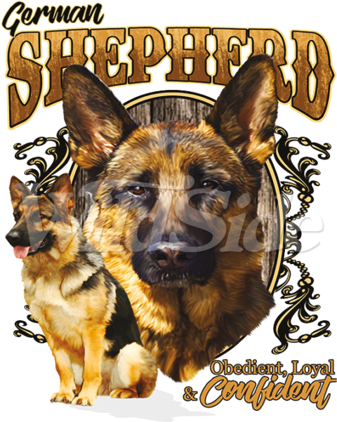 German Shepherd Obedient - German Shepherd (600x600), Png Download