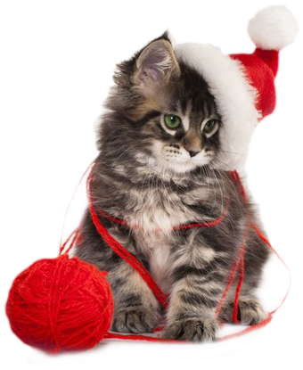 Christmas Kitten Png By Lg-design - Rapport Home Christmas Kitten Cushion Cover (600x485), Png Download