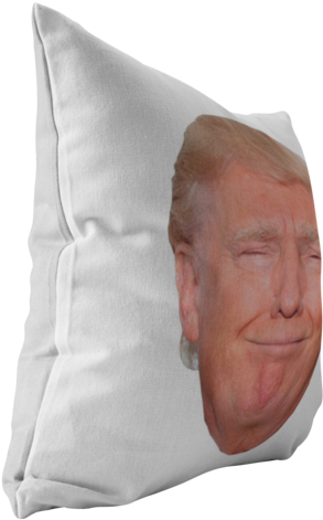 Trump Face Pillow - Pillow (480x480), Png Download
