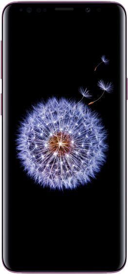 Samsung Galaxy S9 Transparent Png Image - Buy Samsung S9 Black (866x650), Png Download
