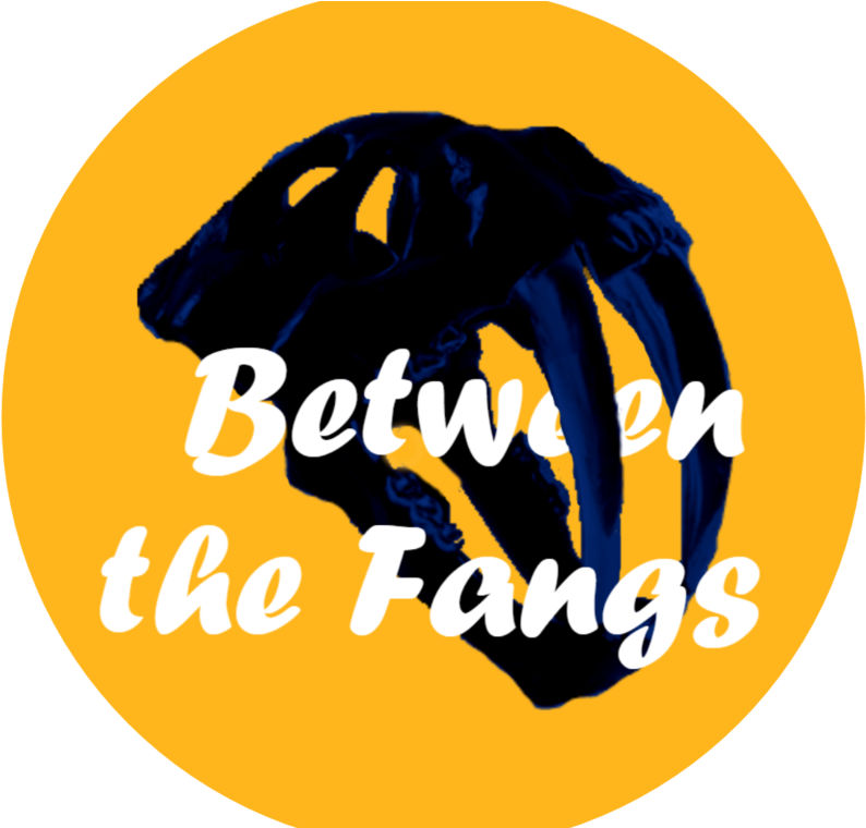 What's The Count?: Mental Plans For Pitchers (800x759), Png Download