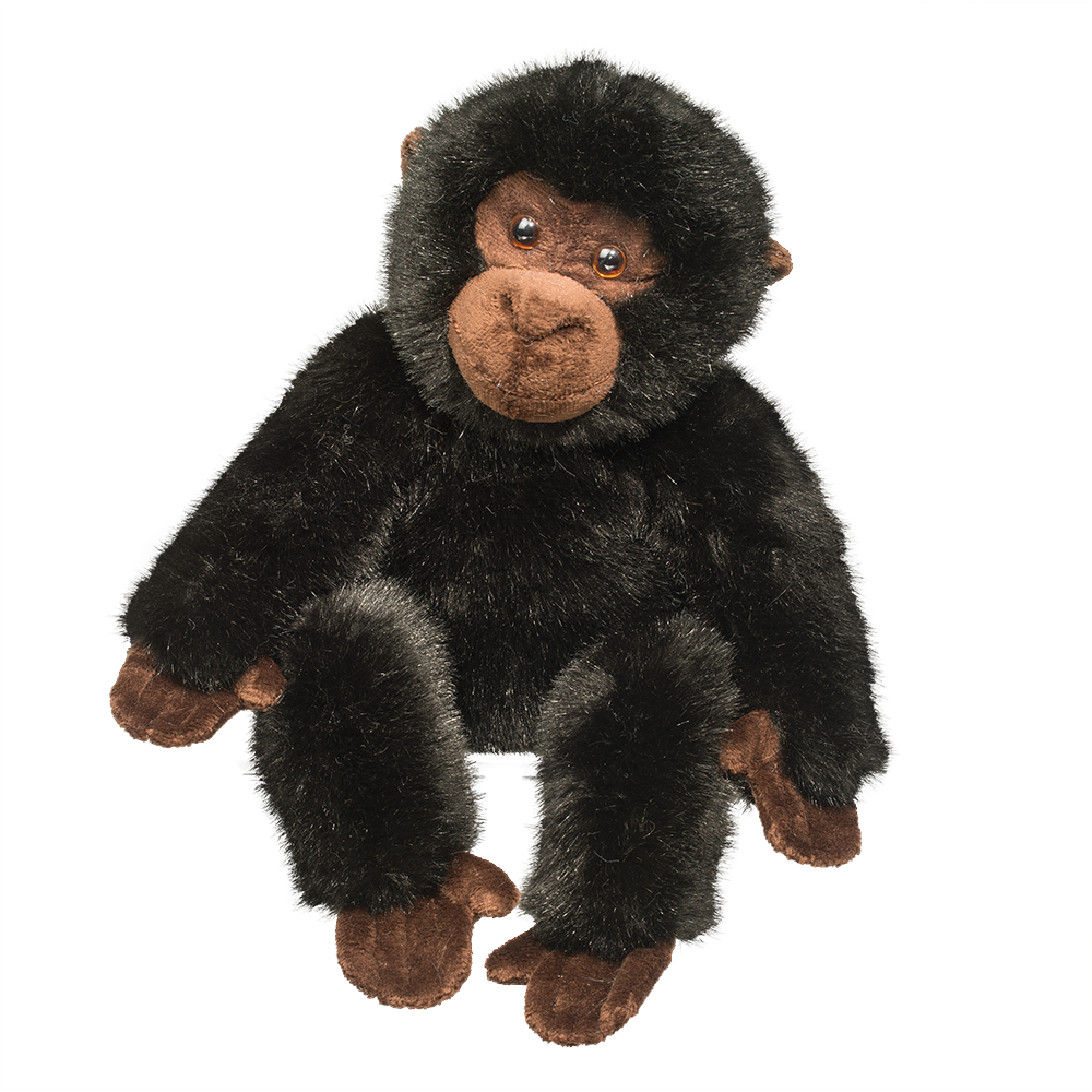 Uma Gorilla (600x600), Png Download
