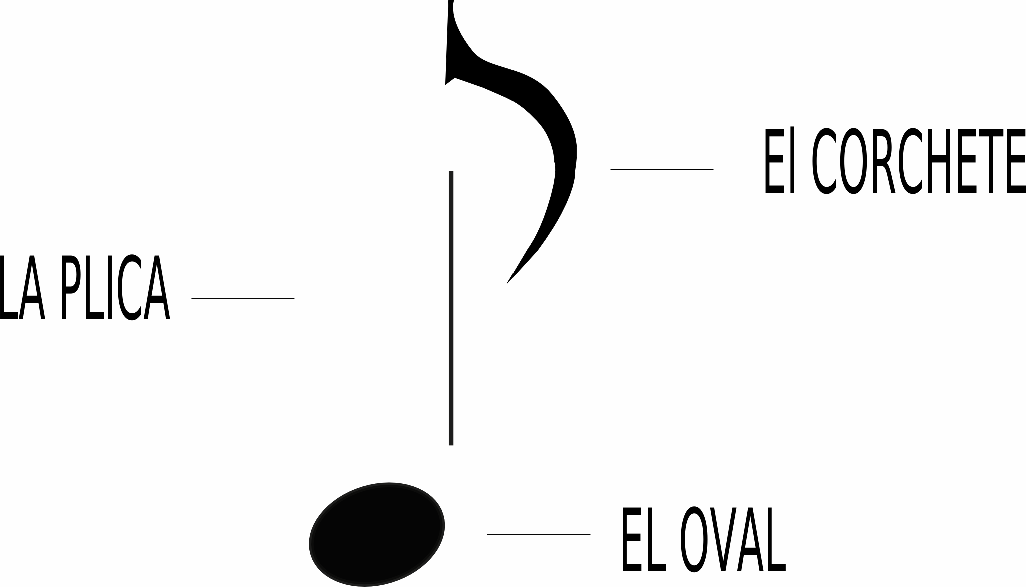 Download Musical Note Parts Musical Note PNG Image with No Background