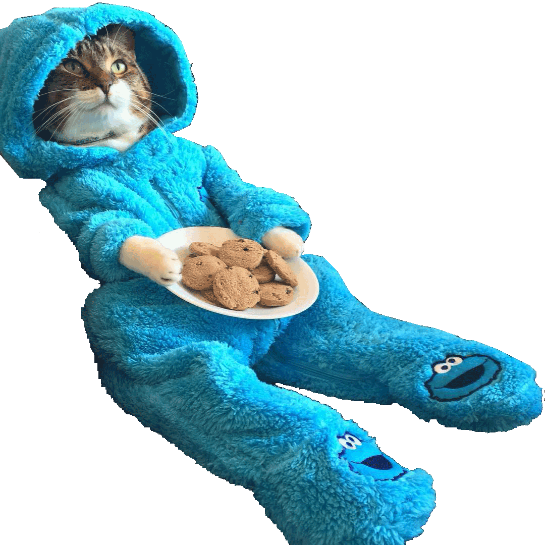 Animalcat Wearing Cookie Monster Onesie - You Re Finally Home Alone (1080x1080), Png Download