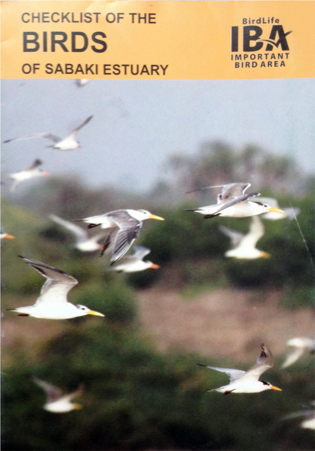 Checklist - Gull (1701x1701), Png Download